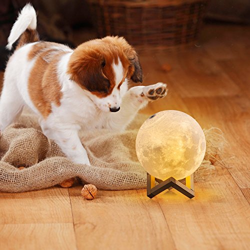 image for THE RESET Moon LAMP Lighting Night Light LED 3D Printing, Warm and Coo