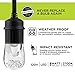 Enbrighten Classic Warm White String Lights, 24ft Black Cord, 12 Shatterproof Acrylic Bulbs, Weatherproof, Outdoor String Lights, 31662