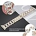 Secbolt Bling Bands Compatible with Apple Watch Band 38mm 40mm 41mm iWatch SE Series 8 7 6 5 4 3 2 1 Women Dressy Jewelry D-link Stainless Steel Wristband Strap, Champagne Gold