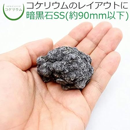 Amazon Co Jp コケのインテリア コケリウム テラリウム コケリウム 石 天然石 暗黒石ss 形状お任せ ホーム キッチン