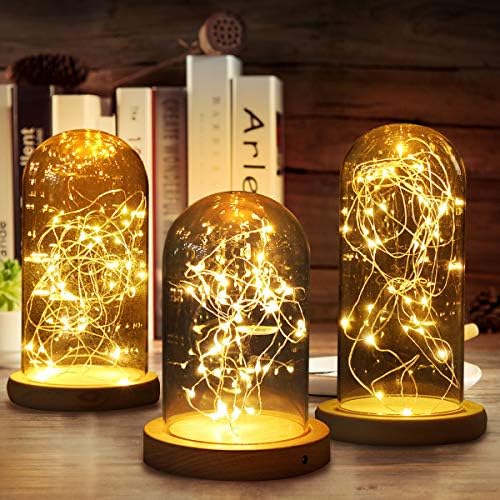 TANCHEN Glass Dome Bell Jar Cloche Display Wooden Base With Fairy LED Light Decorations Christmas Gift