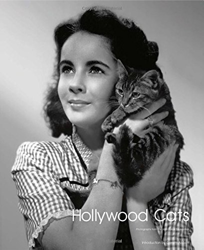 Hollywood Cats: Photographs From the John Kobal Foundation by Gareth Abbott, Simon Crocker