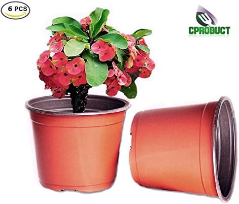 CProduct Garden Starter Pots Planters Plastic, Plant Cuttings, &amp; Seedlings, 5-Inch, 6 Pack