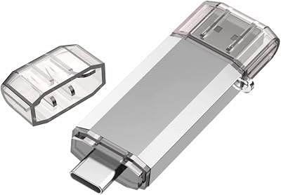 RAOYI 128GB USB C Dual Flash Drive USB 3.0 Type-C Memory Stick Sliver