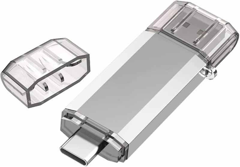 RAOYI 128GB USB C Dual Flash Drive USB 3.0 Type-C Memory Stick Sliver