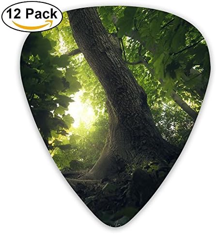 Daniel Laan Dark Nature Trees Forest Fashion Celluloid Printing Guitar Picks 12 Pack