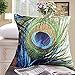 Fablegent XH1 - Elegant Decorative Throw Pillow Cover - Peacock Feathers Design on Both Sides (18