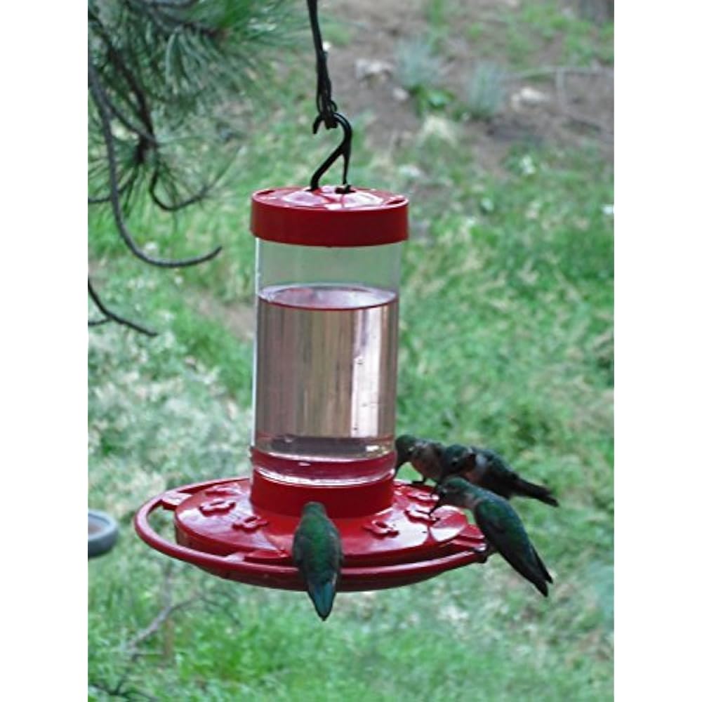 16 Oz. Hummingbird Feeder (2 Pack), Red Sports & Outdoors eBay