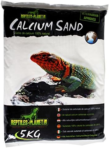 Reptiles Planet 875820 - Arena de Calcio para terrario Sand Sahara Cream (5 kg) 
