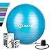 Exercise Stability Ball Chair with Hand Pump Use for Crossfit, Yoga, Balance & Core Strength Training, Non-Slip & Anti-Burst Extra Thick Fitness Ball(Blue&65CM)
