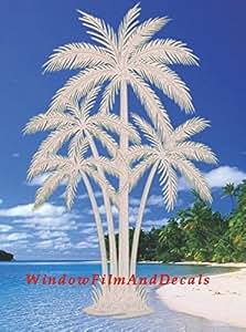 Amazon.com: Oval Palm Tree Etched Window Decal Vinyl Glass ...