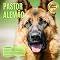 Livro Coleção Raças - Vol 06: Pastor Alemão (Coleção Raças - Cães)