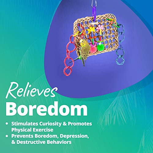 4 Super+Bird+Creations+Activity+Birds