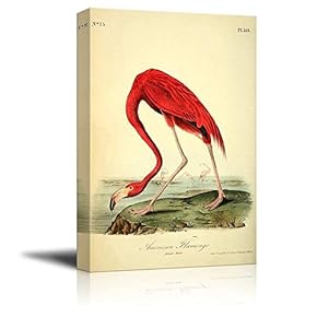 Beautiful Illustration of a American Flamingo by John James Audubon - Canvas Art Home Art - 12x18 inches
