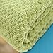 Simple&Opulence Flannel Fleece Velvet Plush Throw Blanket, 50x60 Inch, Lightweight Winter Warm Ultra Soft All Season Comfy for Bed/Couch/Sofa-Green