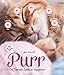 Purr: A Cat Therapy Guide to Happiness by Gilles Diederichs