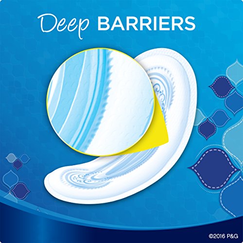 Always Maxi Unscented Pads without Wings, Regular, 48 Count