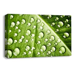Leaf Veins Pictures Home Wall for Bedroom Living...