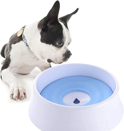 dog choking on water