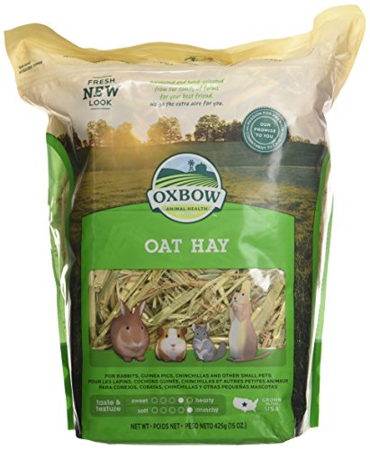 Oxbow Animal Health Oat Hay for Pets, 15-Ounce