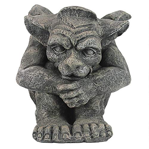 https://images-na.ssl-images-amazon.com/images/I/515ZUIHGpFL.jpg