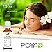 Eucalyptus Essential Oil (Globulus) 30 ml (1 fl. Oz.) - GCMS Tested, 100% Pure, Undiluted and Therapeutic Grade
