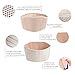 RaimPro Pregnancy Support | Maternity Belt | Belly Band - Breathable Material, One Size fits All, Beige + Bonus 3 Bra Extenders