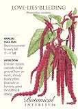Love Lies Bleeding Seeds - 300 mg - Amaranthus by Hirts: Seed; Amaranthus