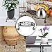 Yimobra Original Patented Plant Stand for Flower Pot Heavy Duty Potted Holder Indoor Outdoor, Metal Rustproof Iron Garden Container Round Supports Rack for Planter, Black, 11.8 Inches