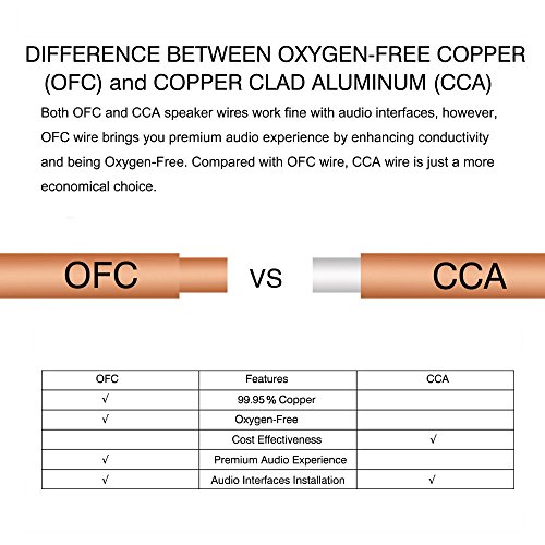 TYUMEN 40 FT Speaker Wire - 2 Conductors 18 Gauge Stranded 99.95% Oxygen Free Copper Wires - for Home Theater Speakers Radio Speakers Car Audio or Any Other Audio Interfaces-Transparent