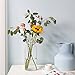 CASAMOTION Glass Vase for Flowers Hand Blown Glass Centerpiece Wedding Table Dining Room Living Kitchen Island Modern Farmhouse Home Decor Clear Cylinder 8” 10” 12” Inch Set of 3