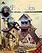 Bird palaces: 12 fabulous painted birdhouses featuring FolkArt Acrylics (Decorative painting) by 
