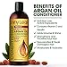 Moroccan Argan Oil Conditioner – Sulfate Free - Moisturizing Anti Hair Loss Treatment - Rejuvenates and Treats Damaged Hair, Adds Volume and Shine, 16 oz (473 ml)