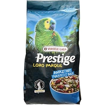 loro parque african parrot mix