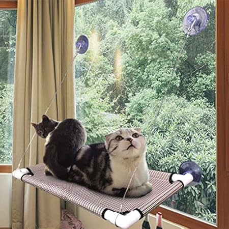 amazon cat window bed