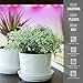 SLR 5pc 20 Inch LED Strips Grow Light, Full Spectrum, for Indoor Plants, Desk Plant, Gardens, Greenhouses, Vegetables, Herbs, Flowers for Hydroponics and Horticulture [Full Kit w/Plug]