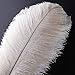 10pcs Natural Ostrich Feather Craft Plume for Wedding Centerpieces Home Decoration (14-16inch, White)