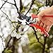 JERXUNY Hand Pruning Shear - Bypass Garden Shears, Shrub & Hedge Clippers, Tree Trimmer - Safety Lock, Sharp SK5 Steel Edge, Antiskid Handle Red