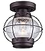 CANARM IFM636A08ORB Ltd Potter 1 Light Flush Mount Seeded Glass, Oil Rubbed Bronze