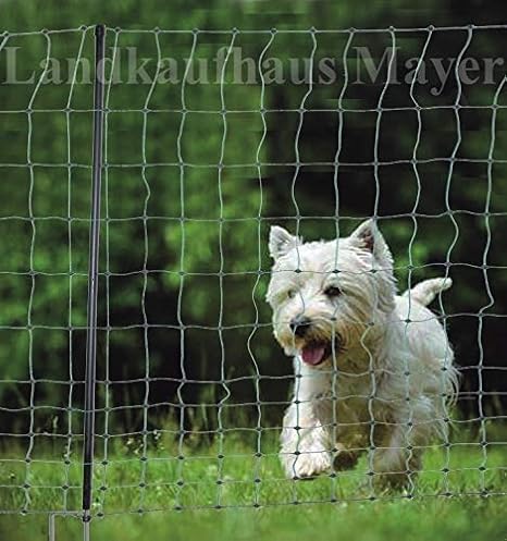 Landkaufhaus Mayer Hundezaun Katzenzaun Huhnerzaun 25m Grun 9 Pfahle Hutezaun Hutenetz Hunde Katzen Zaun Einzaunung Amazon De Haustier
