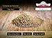 Gourmet Porcini Sea Salt - All-Natural Sea Salt Blended with Premium Dried Porcini Mushrooms - No Gluten, No MSG, Non-GMO - Cooking and Finishing Salt - 4 oz. Stackable Jar