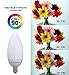New ViriBright, New Technology! 25 Watt Equivalent, Dimmable, B10, Candelabra LED Light Bulb (12 Pack), E12 Edison Base, Warm White (Soft White), Maximum Energy Saving, Super Value Pack