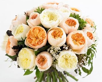 Patience Juliet Cottage Garden Bouquet 25 Roses Amazon Co Uk