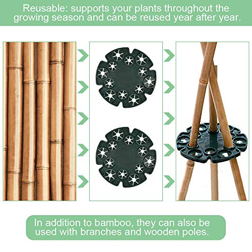 RMENOOR 5 Teilige Pflanzenstütze Staudenhalter Rund Kletterhilfe Pflanzen Plastic Strauchstützen Kletterpflanzenhilfe… – Bild 7