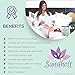 Sandholt Premium Body Cleanse Foot Pads - Stress, Pain and Constipation Relief - Improved Energy - Natural Sleep Aid - Odor Eliminator - Relaxing Feet Health Care - 20 Feet Patches + e-Book