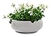 Keter Cozies Plastic Planters
