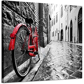 Artistic Path Cityscape Artwork Wall Decor: Bicycle Photographic Prints- Retro Vintage Red Bike in Black and White on Wrapped Canvas for Home Decoration