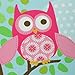 10 Blank Inside Note Cards & Matching Envelopes w/ a Cute Keepsake Box “What a Hoot” – Owl Cards, Thank You Stationery Cards, Invitation Greeting Cards