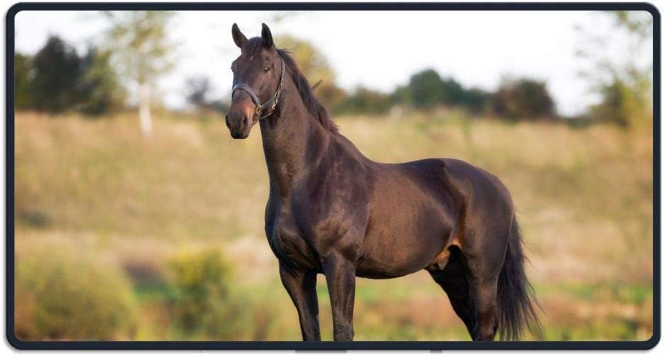 Large Horse Gaming Mouse Pad Custom Design Mouse Mat Extended XXL Size for Desk,Laptop,Keyboard & More