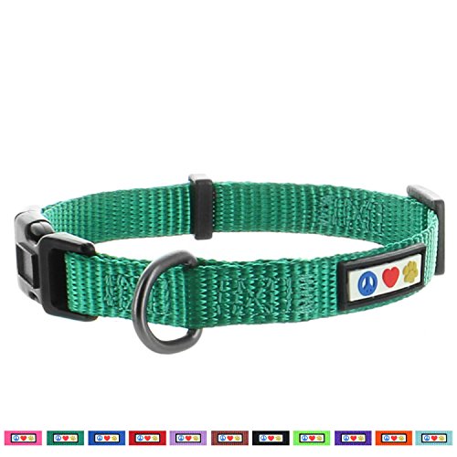 Pawtitas Dog Collar for Extra Small Dogs Training Puppy Collar with Solid - XS - Lush Green - Thumbnail 5